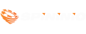 Spininio Logo